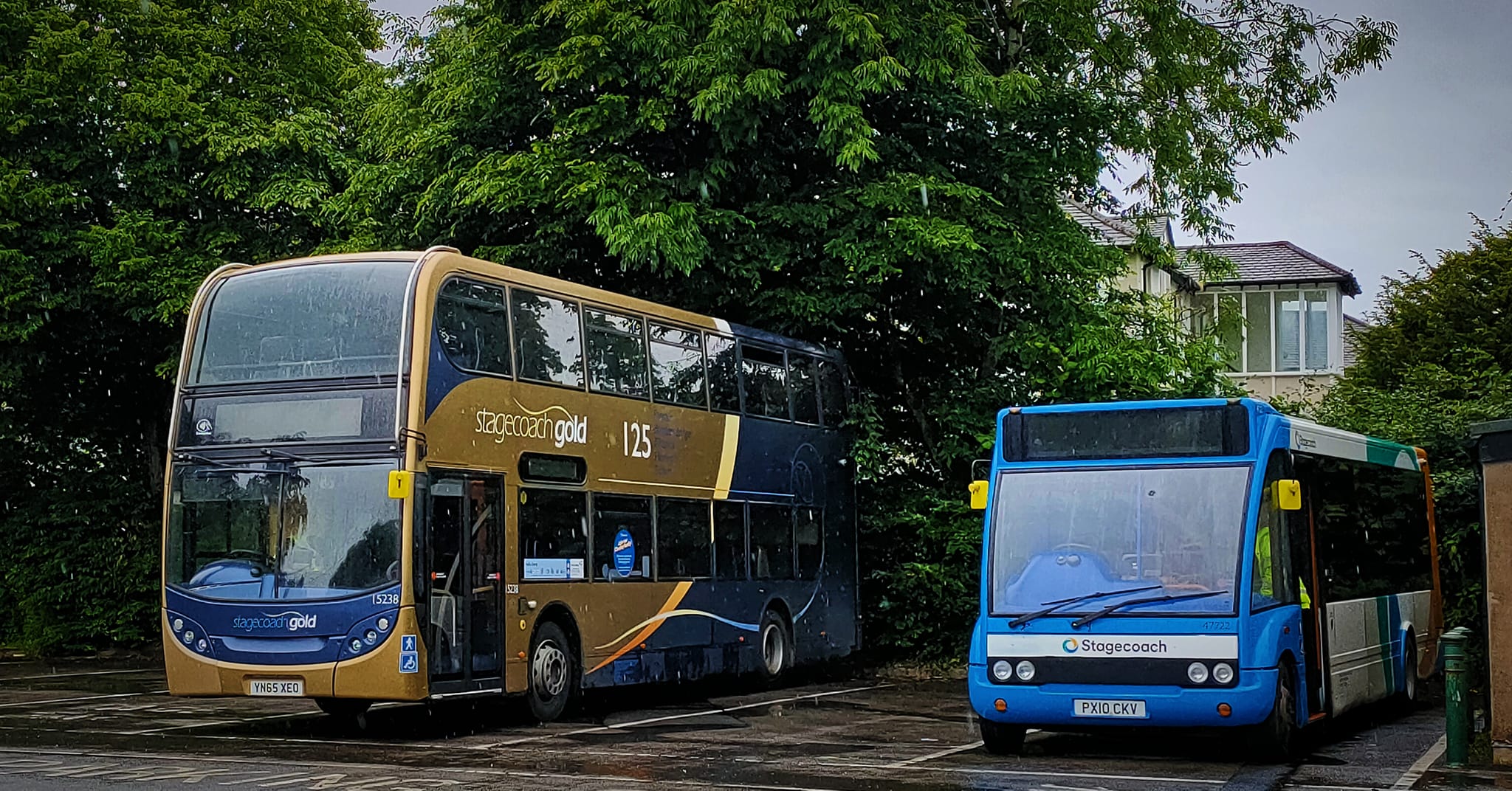 Friends of Buses and Coaches | Bottoms up! Five different types of ...