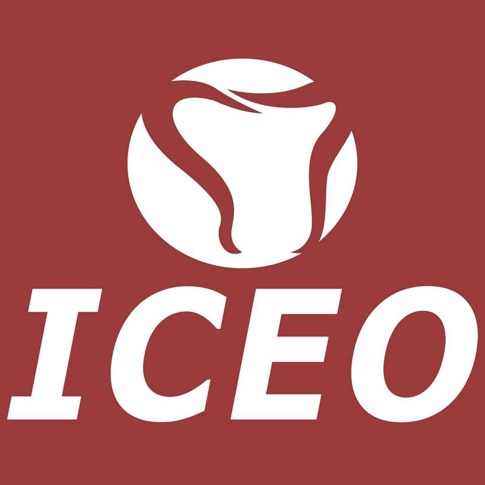 Iceo Ensino