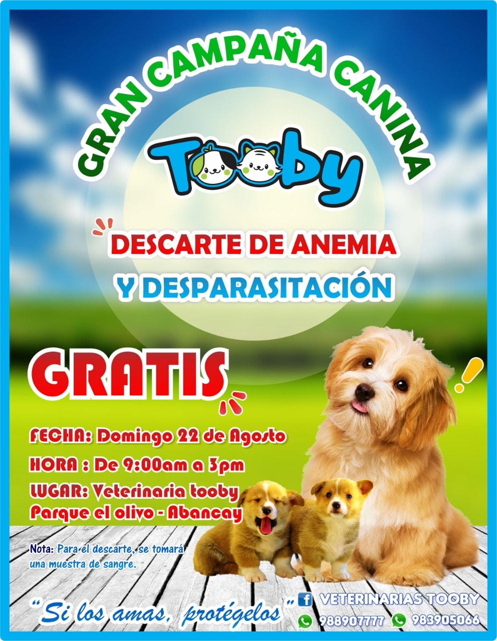 📣ATENCIÓN ABANCAY...📢 🎊🎉CELEBRAMOS 8... - Veterinarias TOOBY | Facebook