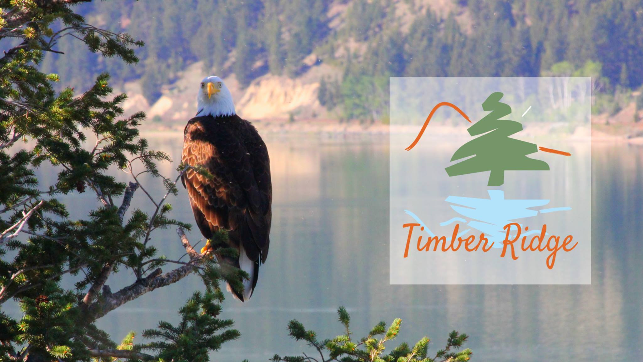 Timber Ridge Property Association