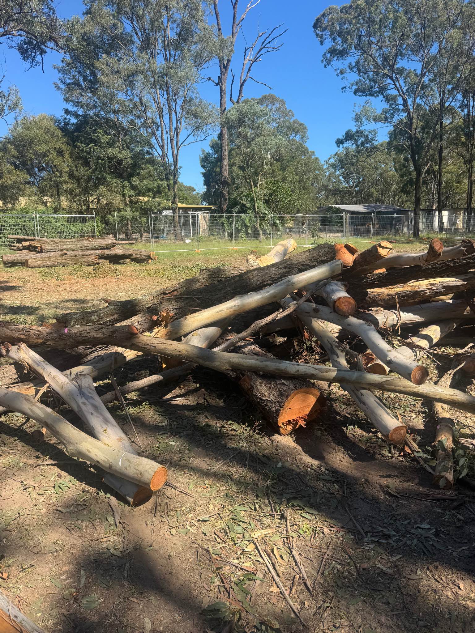 Free Firewood - Miscellaneous - Sydney, Australia | Facebook ...