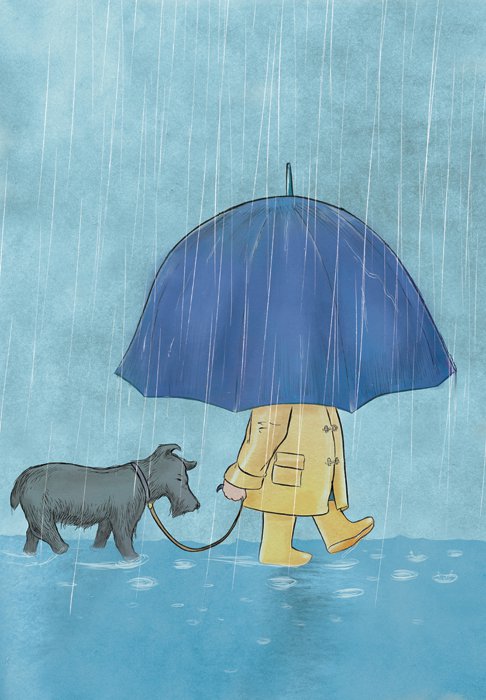 Jed Alexander, Author and Illustrator