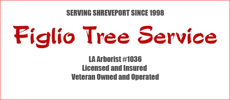Figlio Tree Service