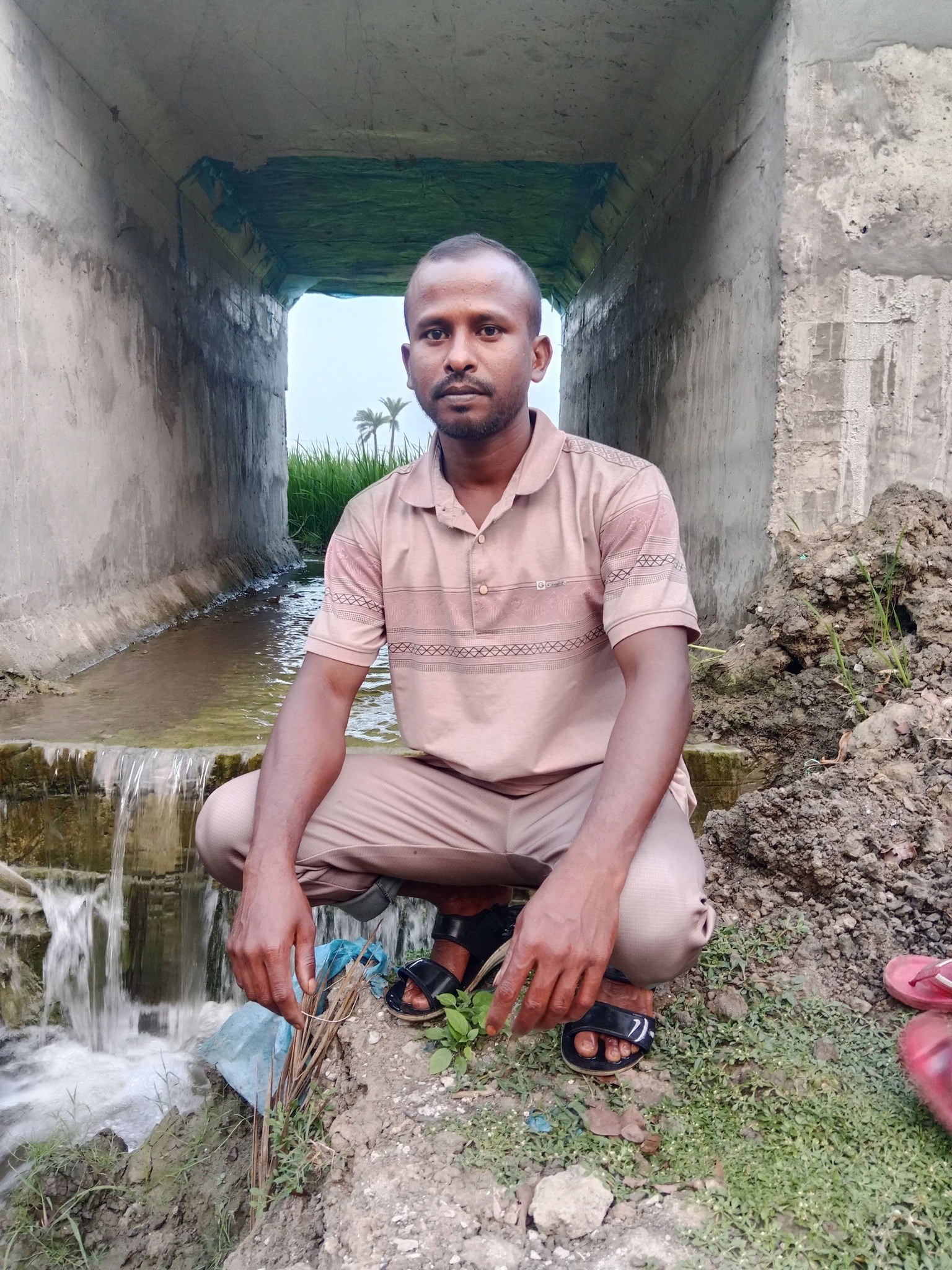 MD Razib Mia
