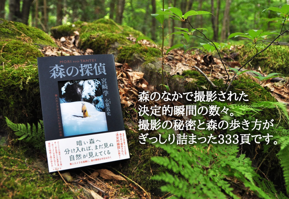 宮崎学と森の365日 (@owlet.net) • Facebook