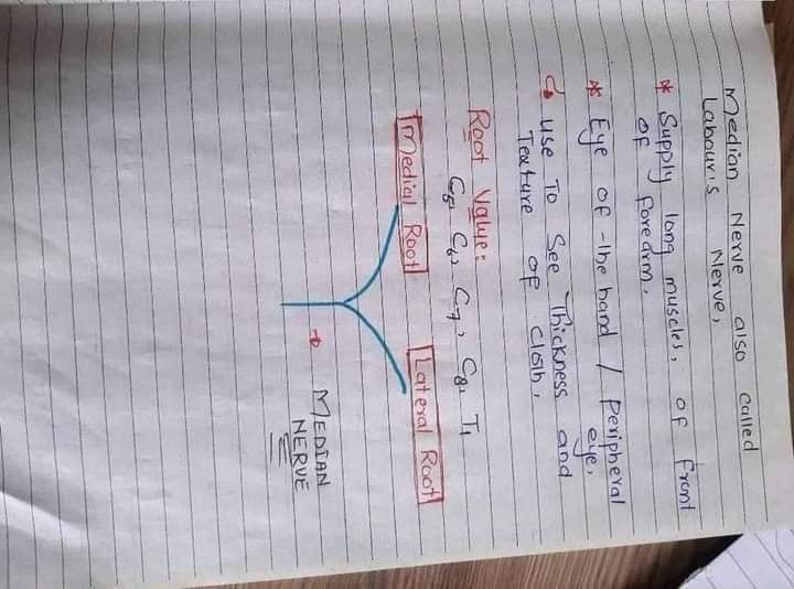 Anatomy Upper Limb Notes! - Dr Rameez Samoo PT | Facebook
