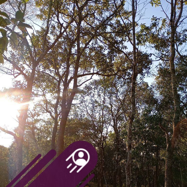 Hnute te kha a hne thiam ve tawh lutuk a 😇😇 | Seni Pachuau