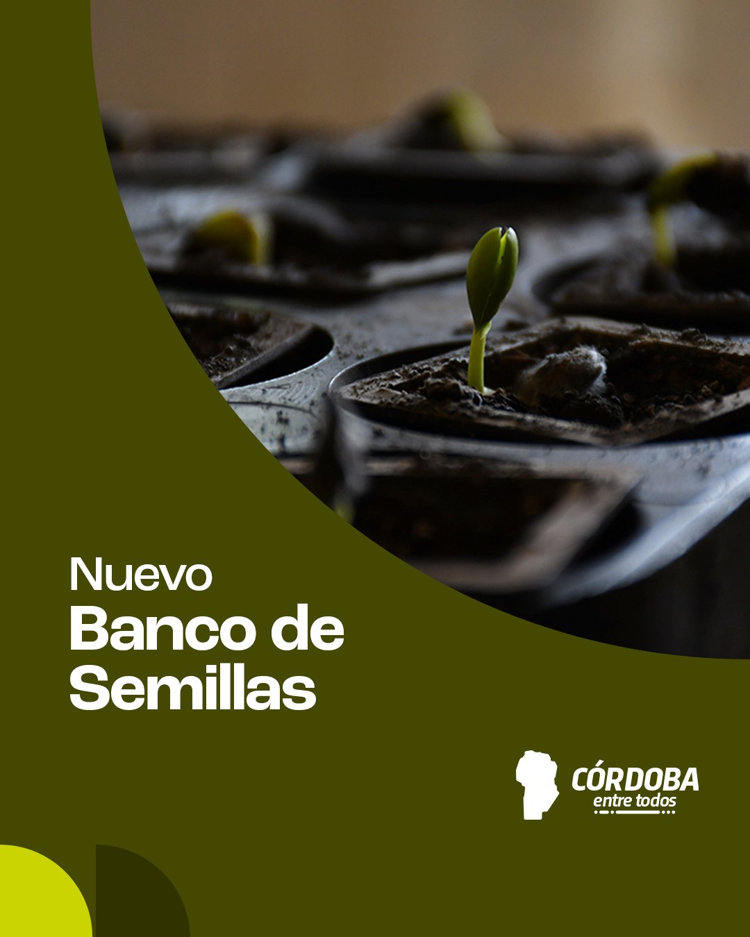 Gobierno - 🌱 Ya está en funcionamiento el Banco de Semillas de especies ...