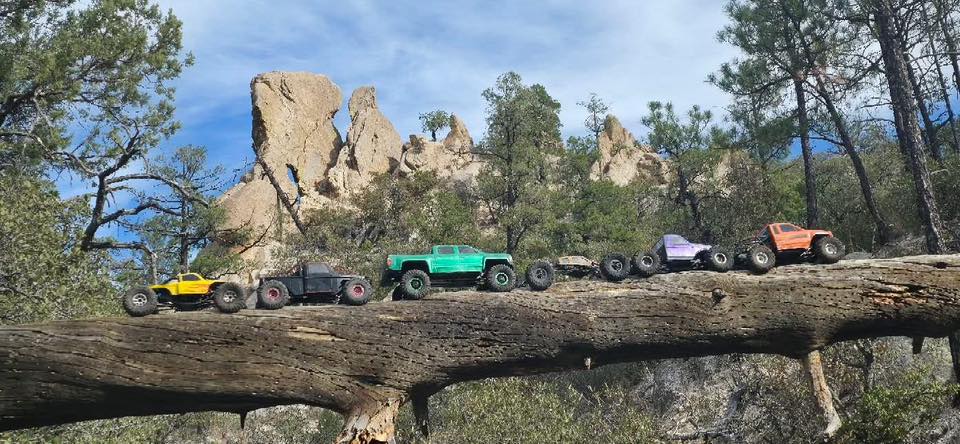 Tucson United Crawlers | Picked up the new scx30 Tacoma today from Ace ...
