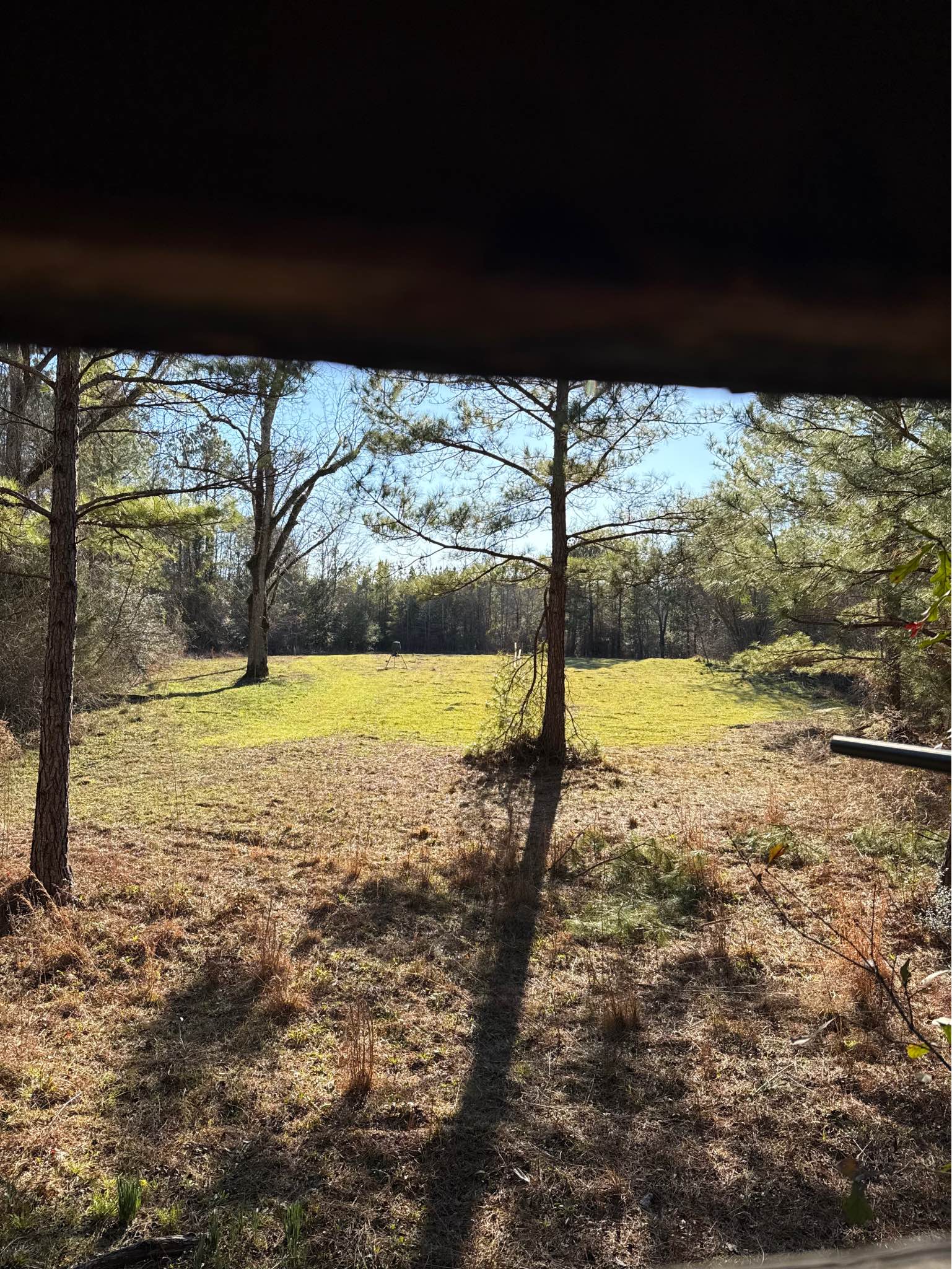 Land for sale in Shellhorn AL - Property For Sale - Petrey, Alabama ...