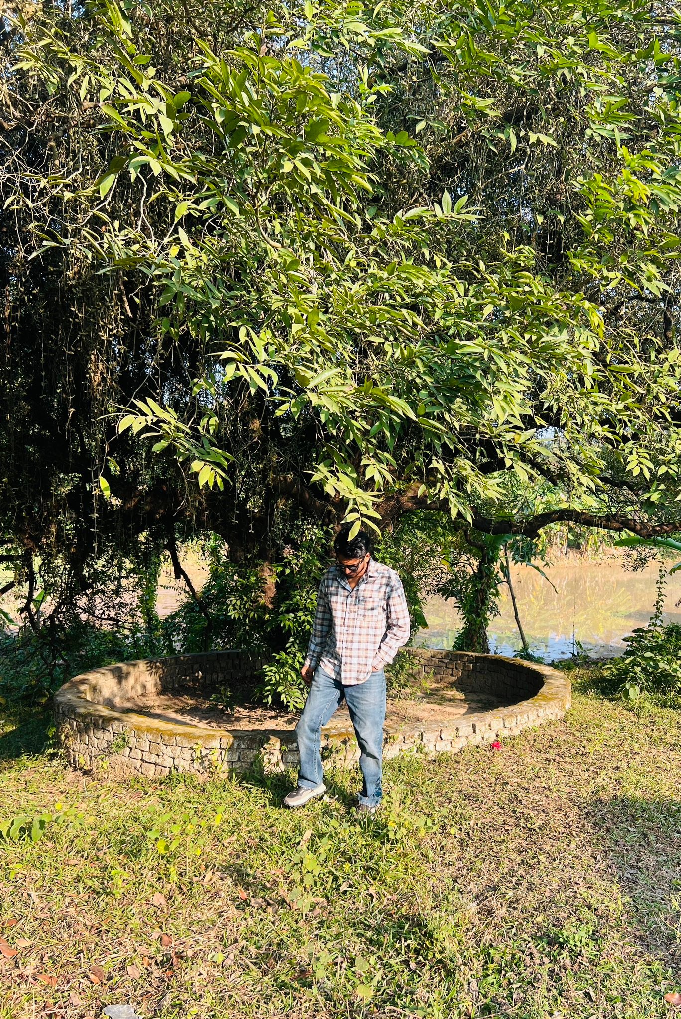 Salman Rana