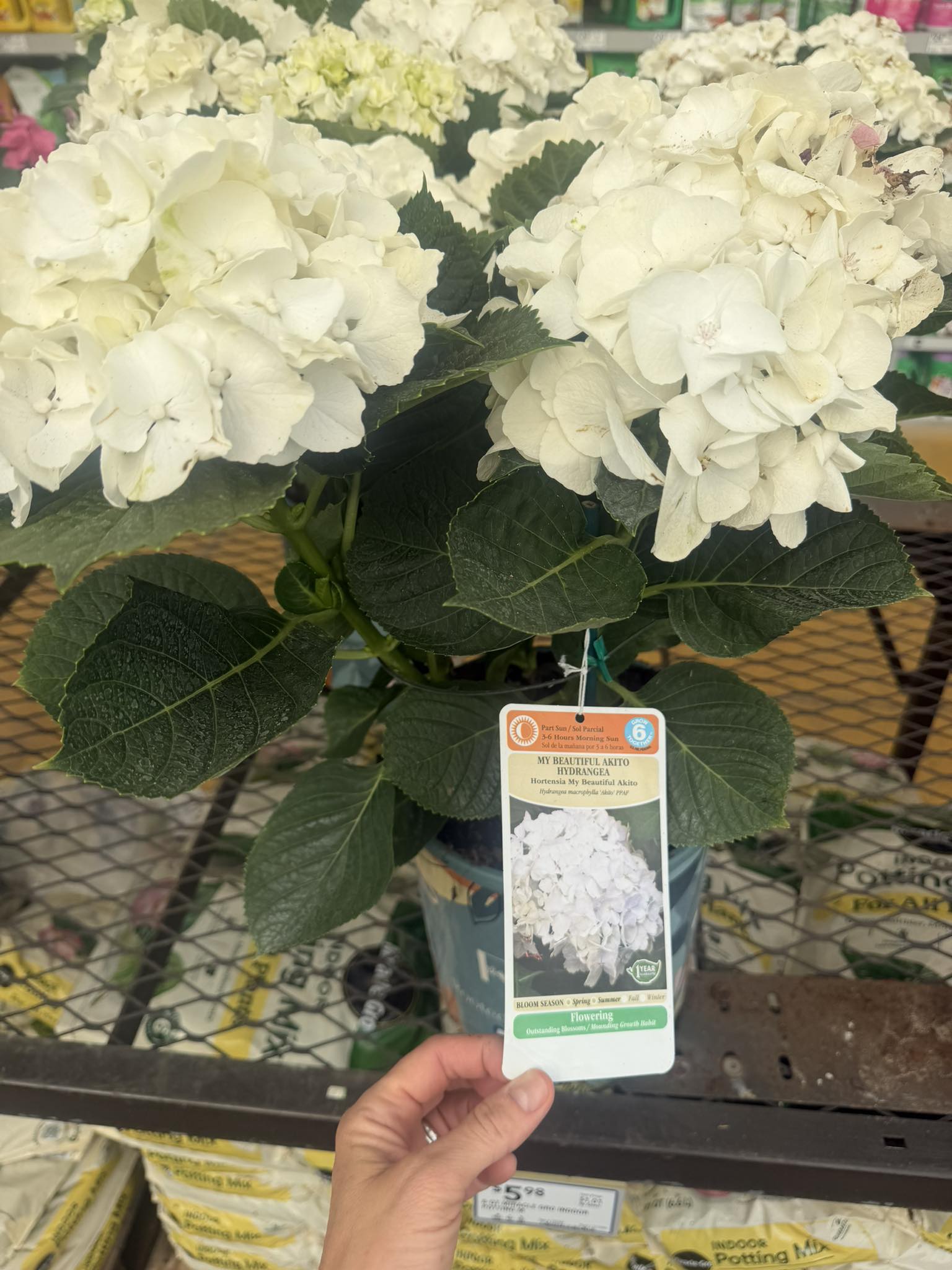 Found this at Lowe's. Picture doesn't do it justice. It's called
