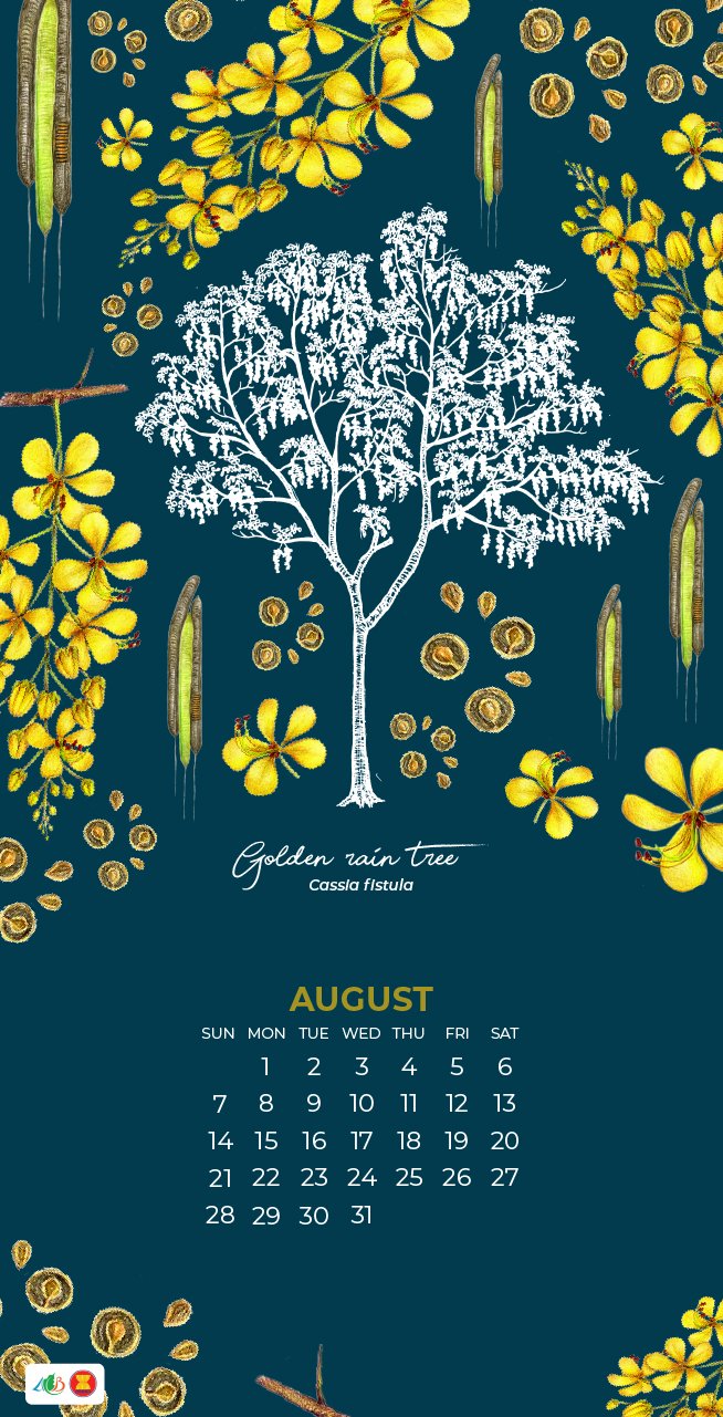 The golden rain tree is a... - ASEAN Centre for Biodiversity | Facebook