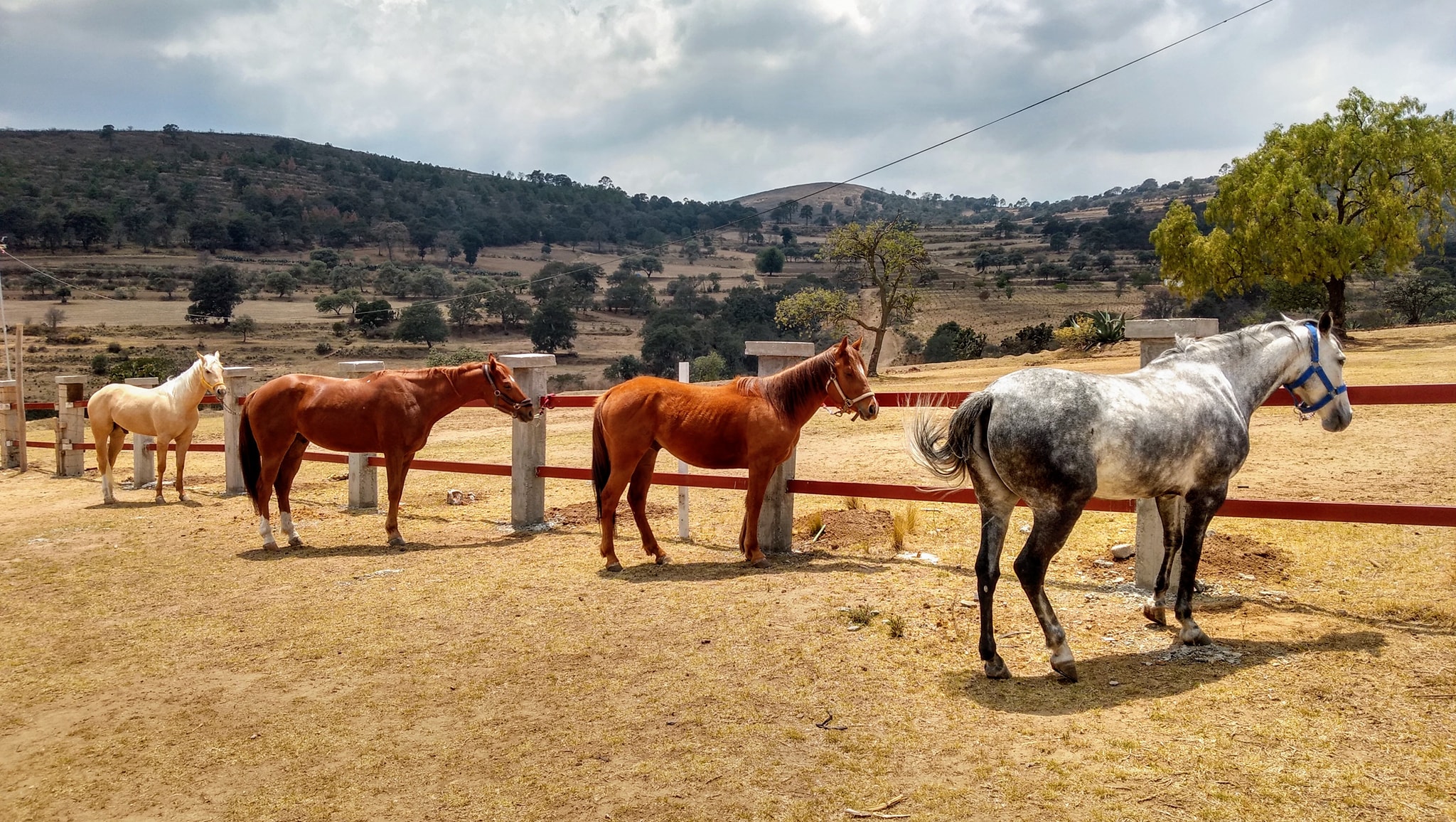 Rancho Barriga de Plata - #RanchoBarrigaDePlata, es un espacio familiar ...