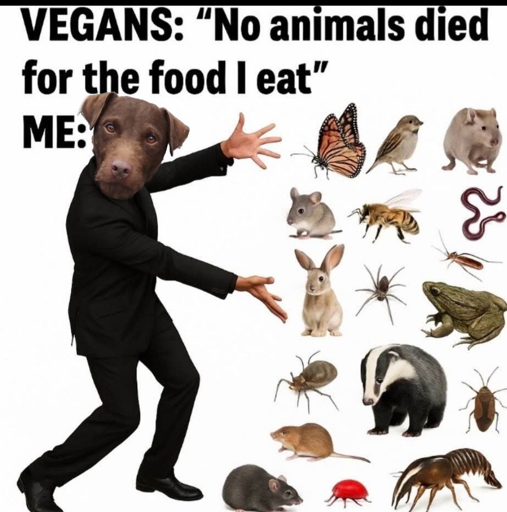 Billy - Why I get abuse from vegans I don't know but fight fire with ...