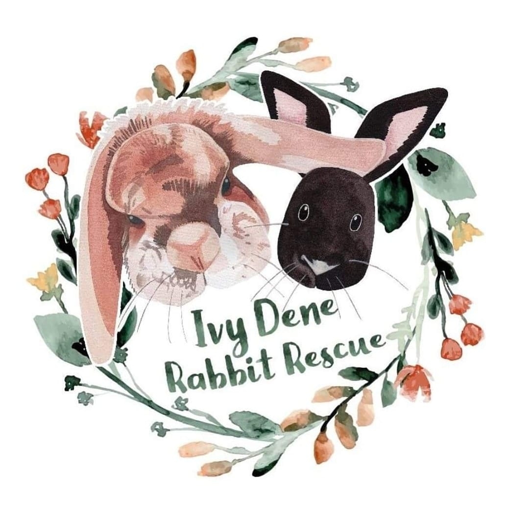 There are always snacks to be had (even in the winter months!) 🐰🌱 | Ivy ...
