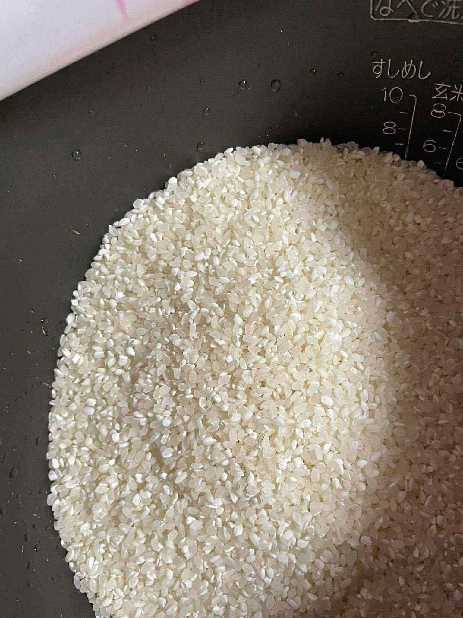 ???Hot sale ??? ✔️Gạo himawari quốc dân ✔️24kg giá chỉ 