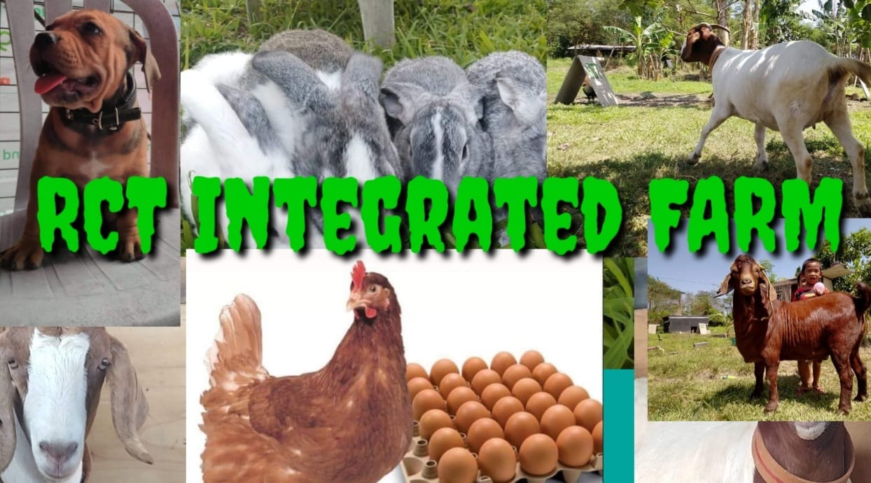 RCT Integrated FARM | Naic