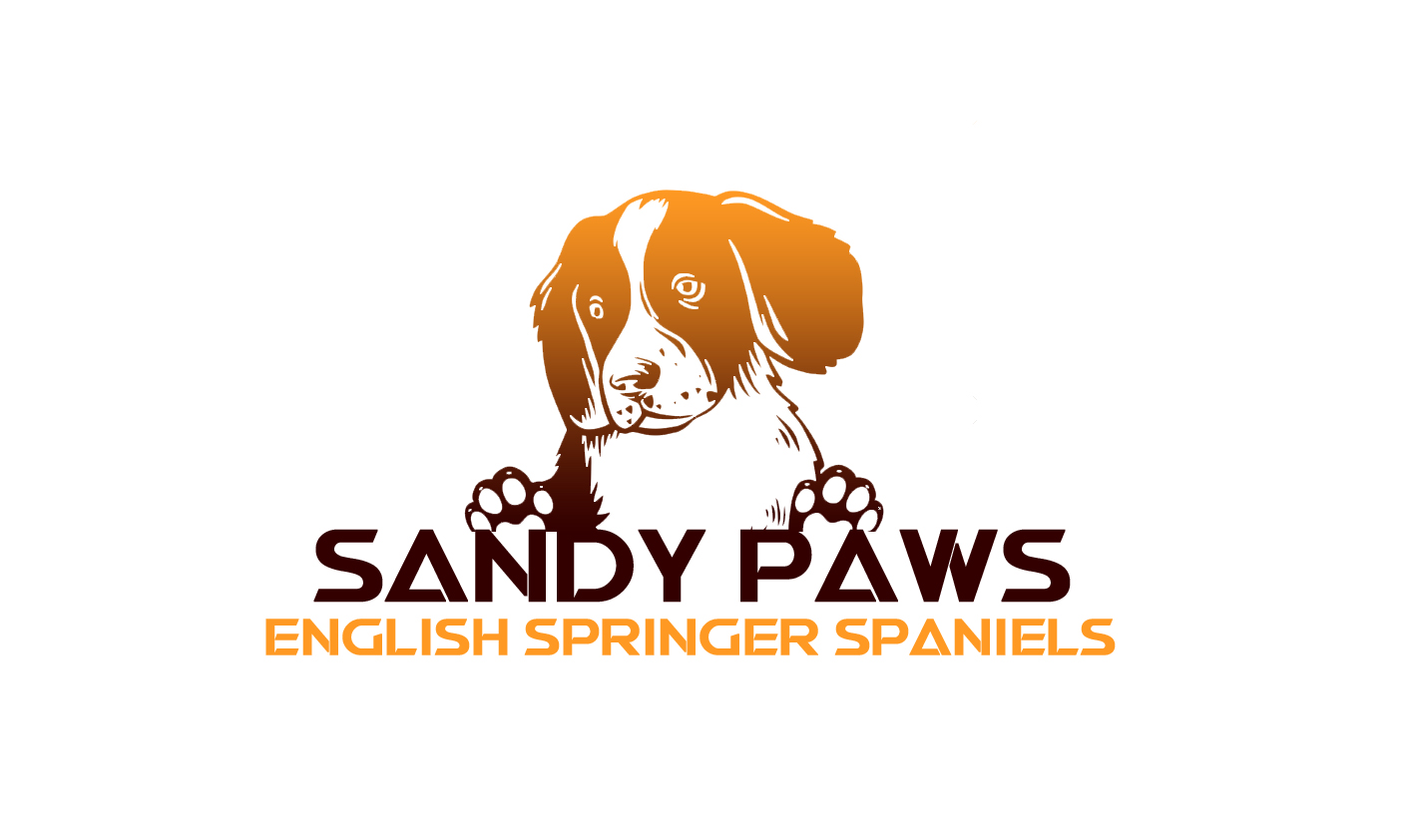 Sandy Paws English Springer Spaniels