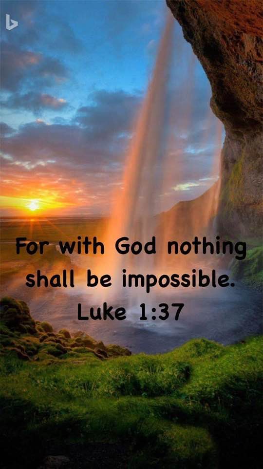 ️🙌 - Sebec Corner Baptist Church
