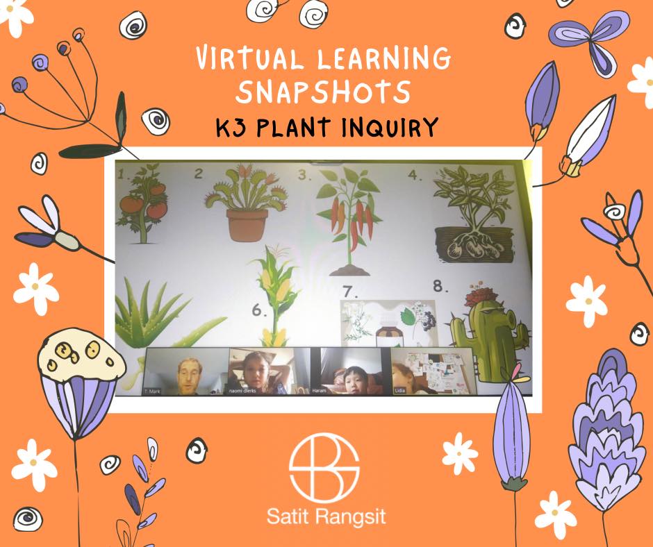 SBS Rangsit - 🌹Virtual Learning Snapshots - K3 Plant...