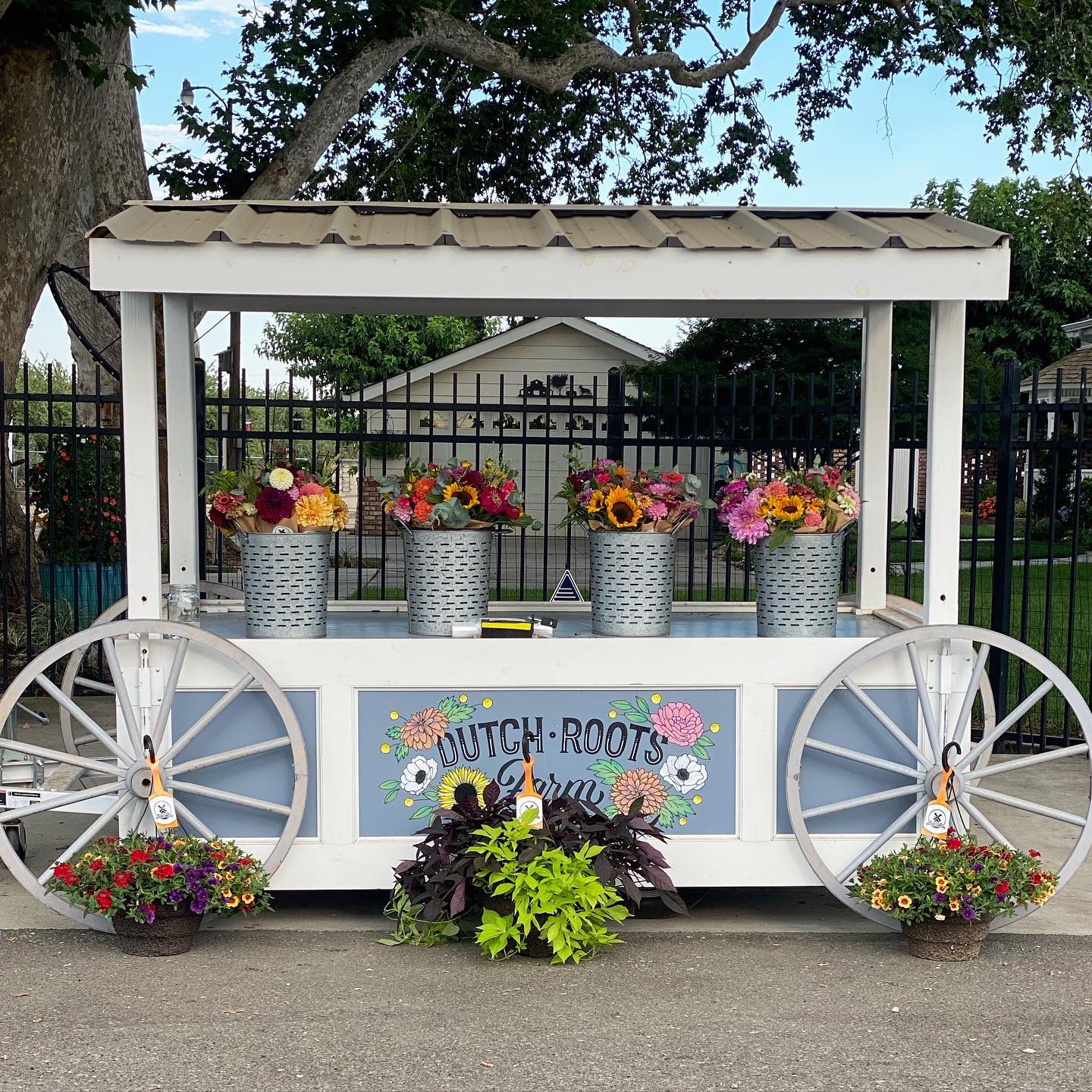 The roadside stand is out on Austin rd... - Dutch Roots Farm