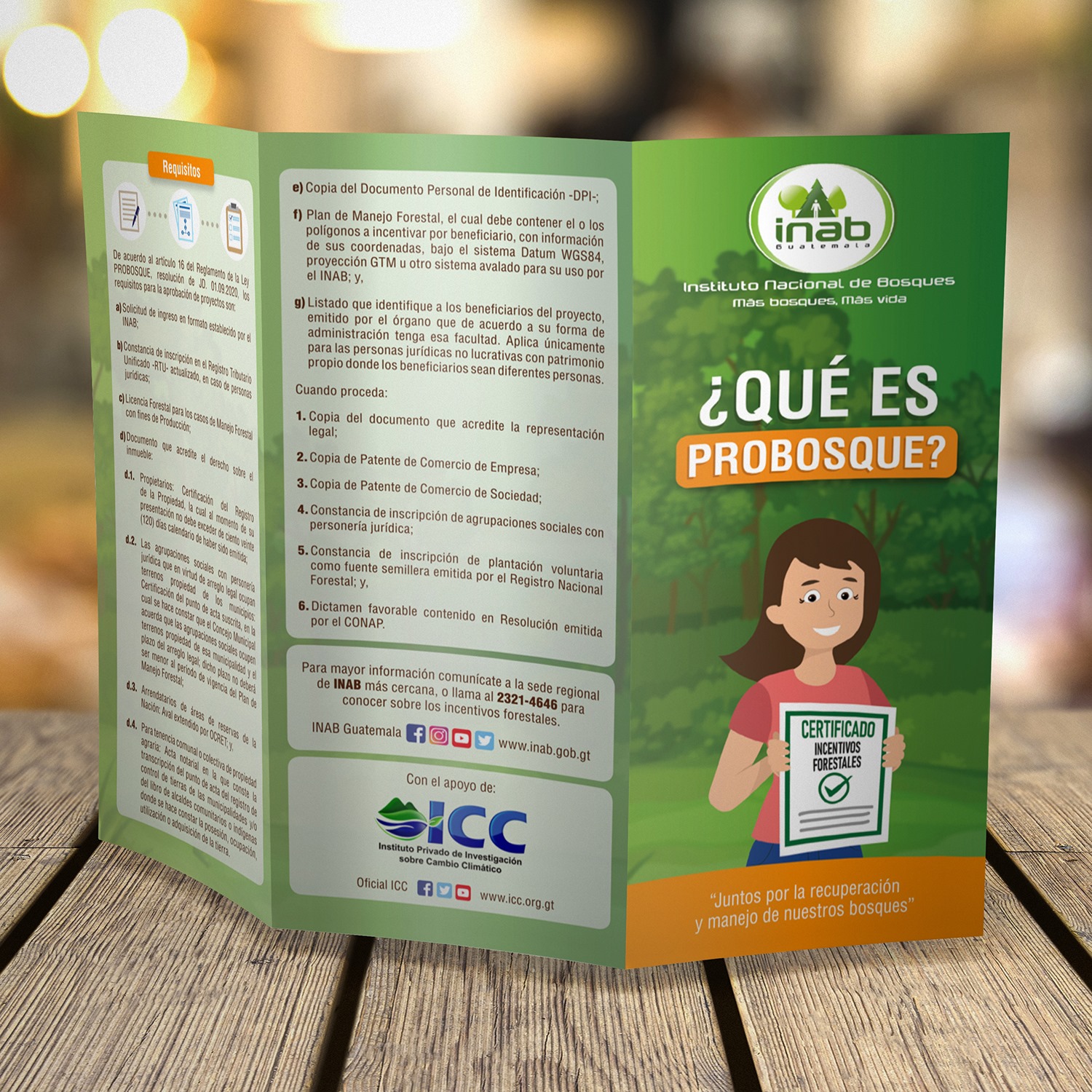 INAB Guatemala - #Infórmate 🌳🌳🌱 Sabías qué el Estado... | Facebook