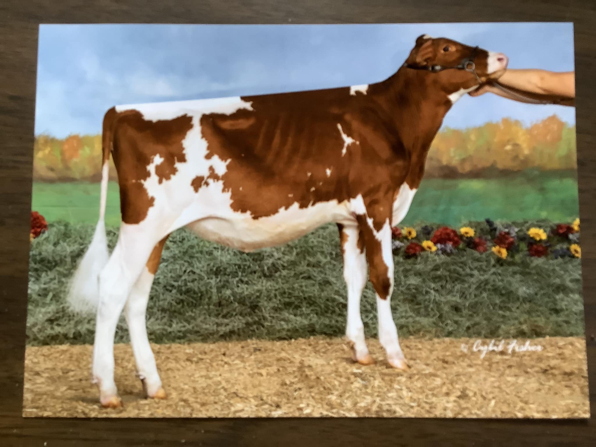 Castlemont Farms | Montrose PA