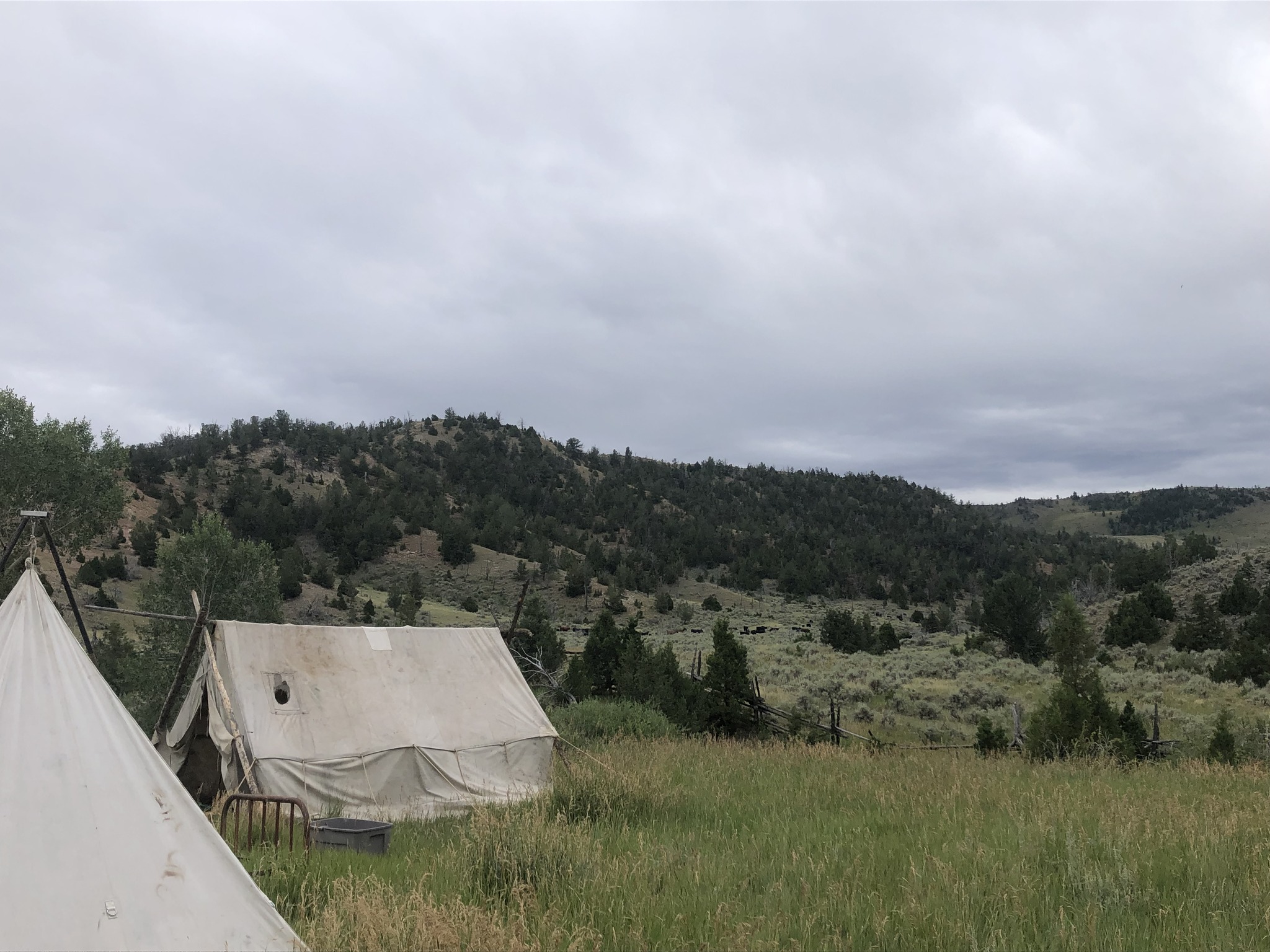 LU Ranch