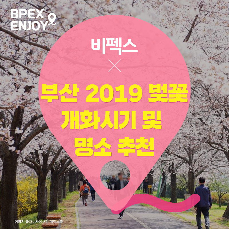 #비펙스ENJOY 봄, 봄, 봄, 핑크빛 봄이 왔어요🌸... - BPEX 비펙스 - 부산항국제전시컨벤션센터 | Facebook