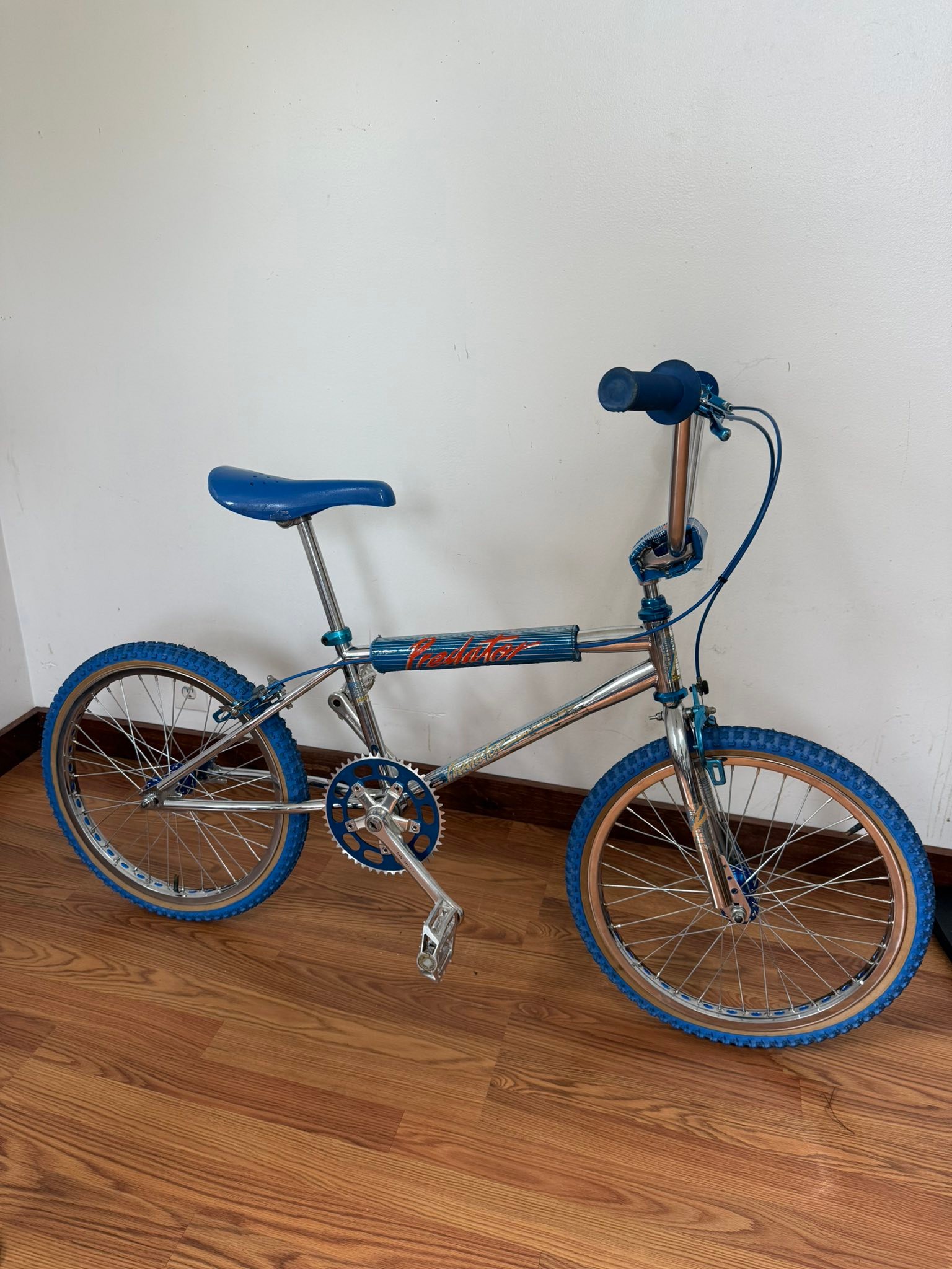 schwinn predator bicycle Team 24 Freestyle BMX Bike, Throwback 1983 Design, Single-Speed Drivetrain, Hi-Ten Steel Frame, Rattrap Pedals, Front and Rear Caliper Brakes, 24-Inch Gum Wall Tires, Chrome : Sports & Restored to perfection 1983 and