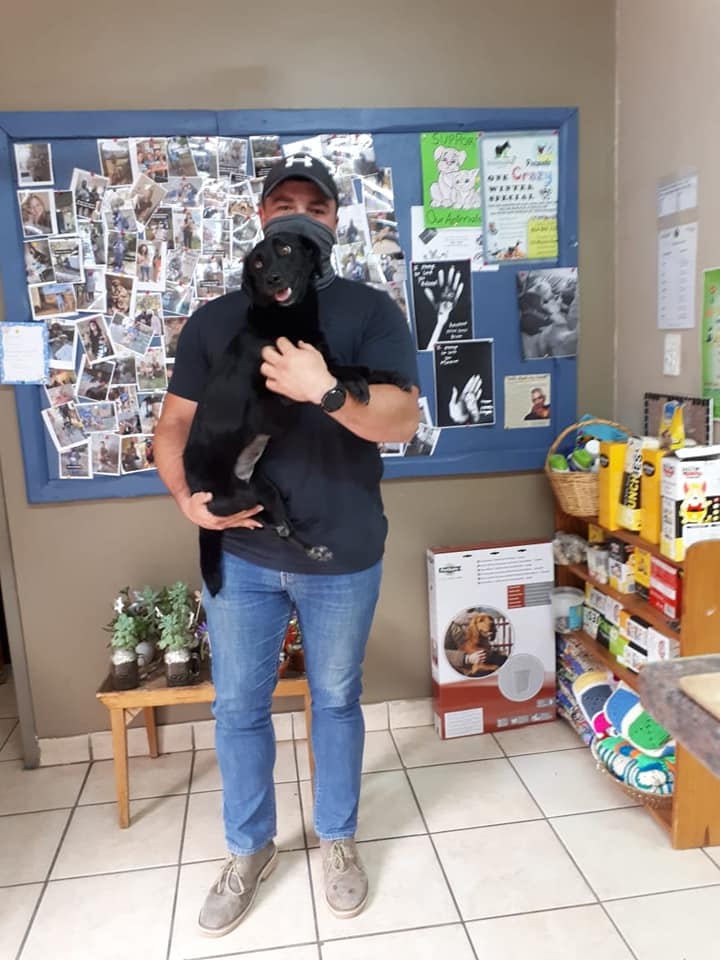 SPCA Rustenburg - Daddy Labuschagne came to take his... | Facebook