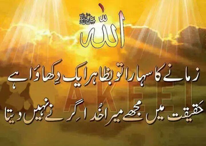 Kashiff Ashraff Msc