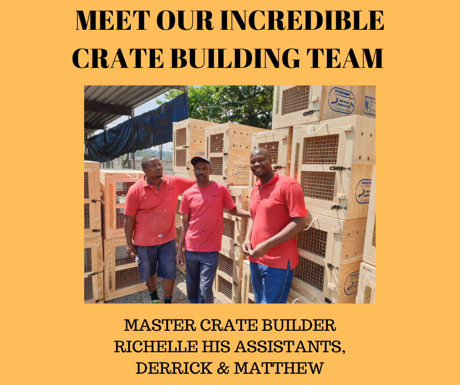 Crate Builders Near Me
