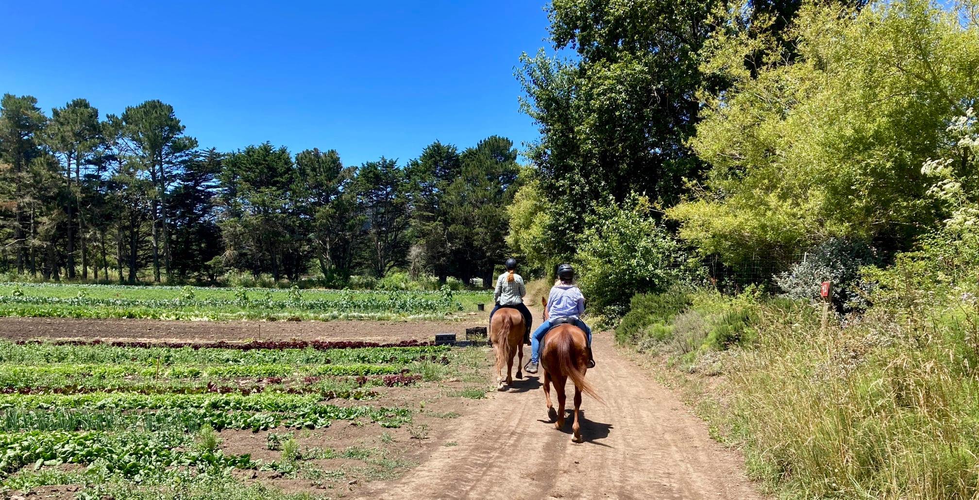 Tilden Wildcat Horsemen's Association