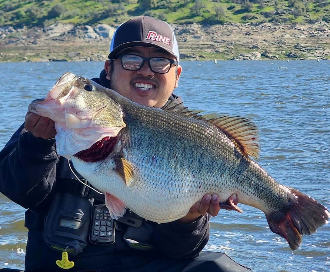 antares fishing reel Shimano B Casting futuristic look heavy duty reel Abu Garcia Ambassadeur 5500 Color:P  T 2000