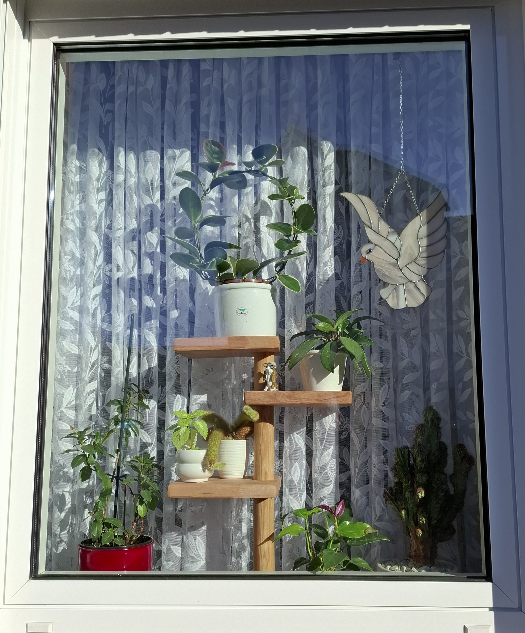 So kleine Blumenregale für die Fensterbank Schreiner ich mir in allen Größen selbst. :)