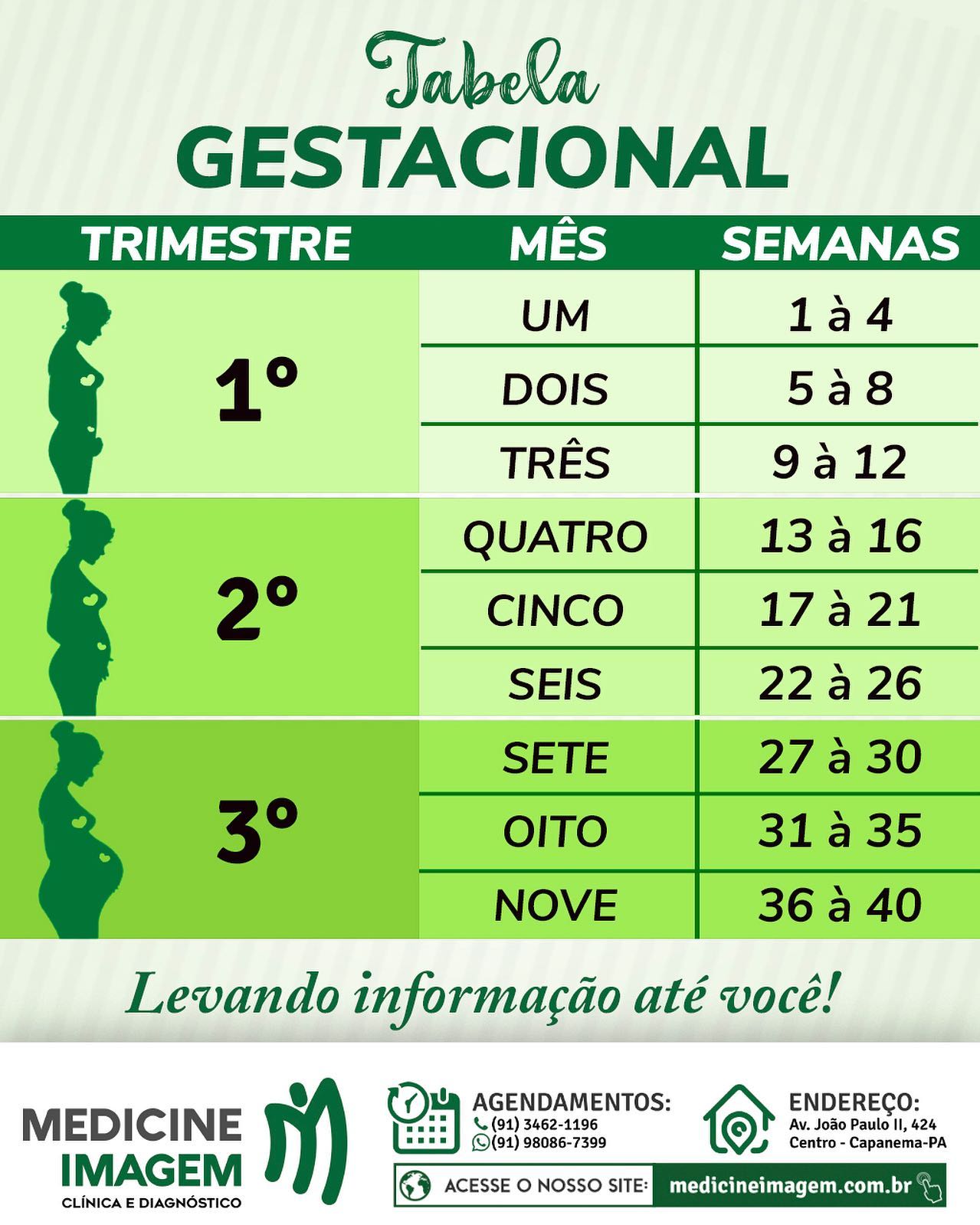Tabela Gestacional 💚 - Clinica Medicine Imagem