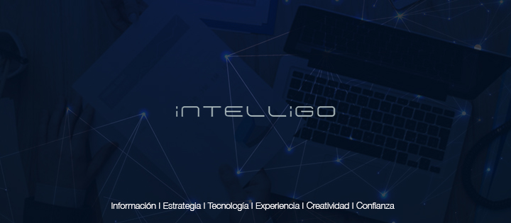 Intelligo, Información y Estrategia