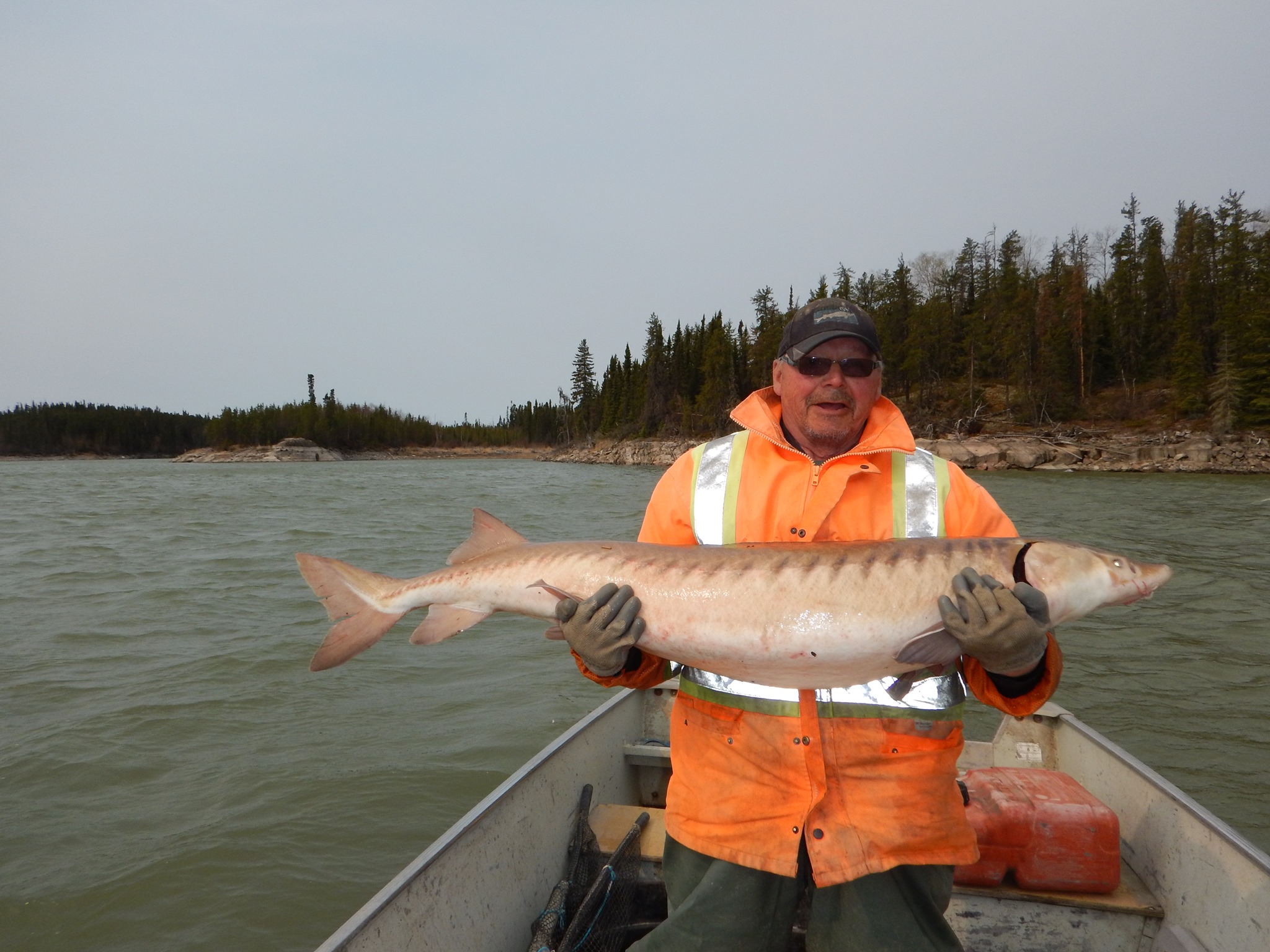 Nelson River Sturgeon Board