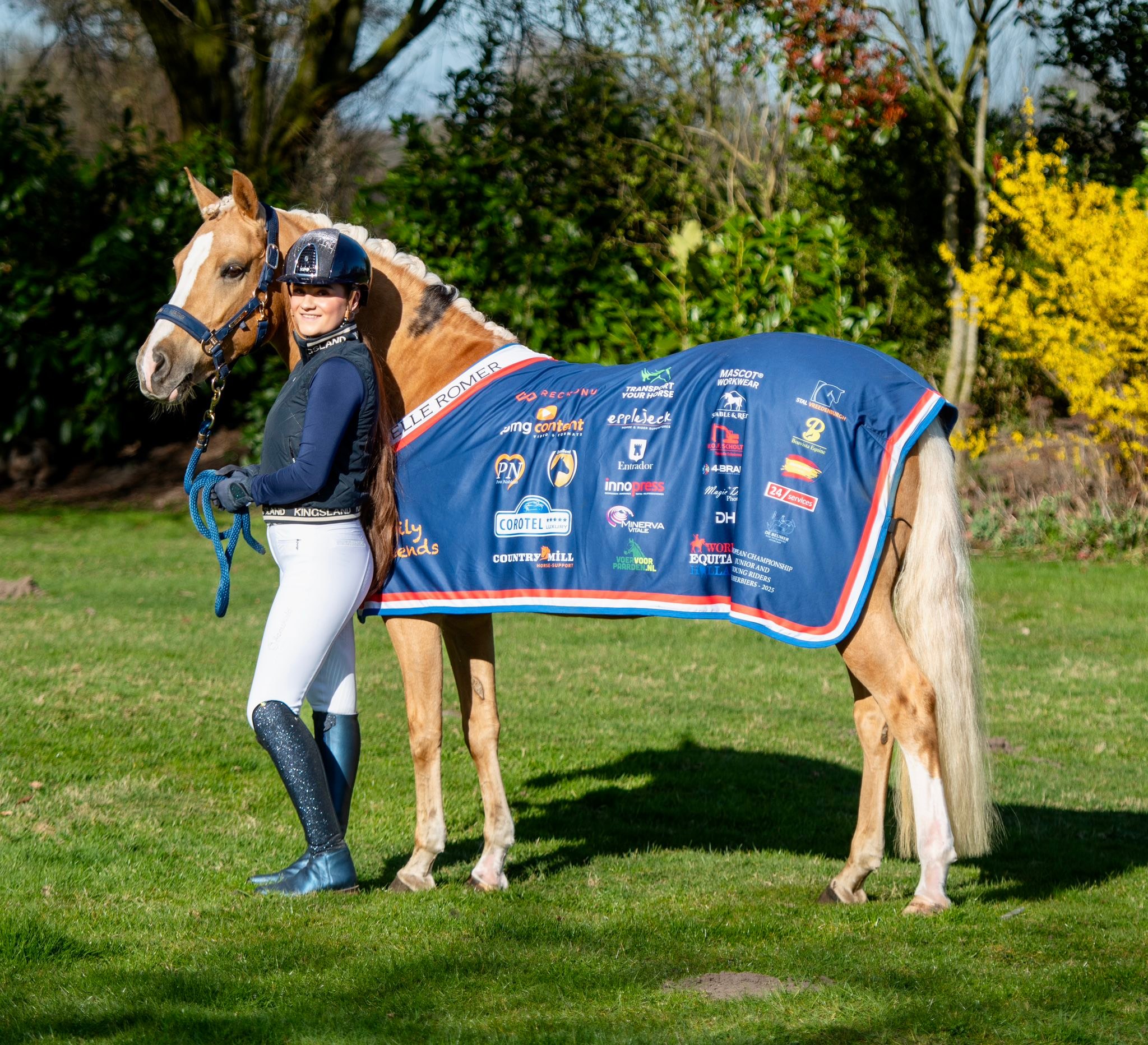 Pony for sale with excellent dressage skills