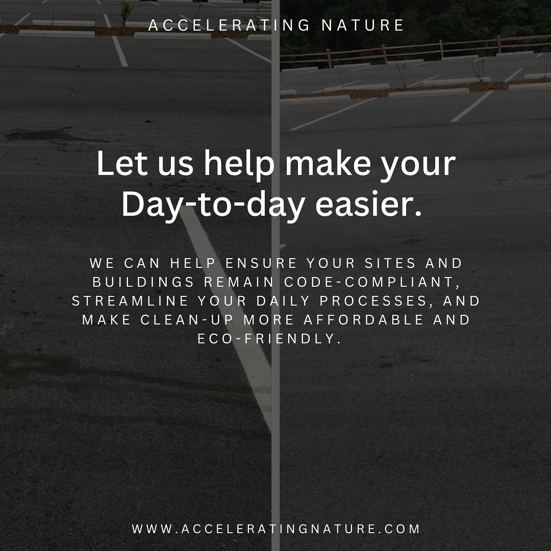Accelerating Nature