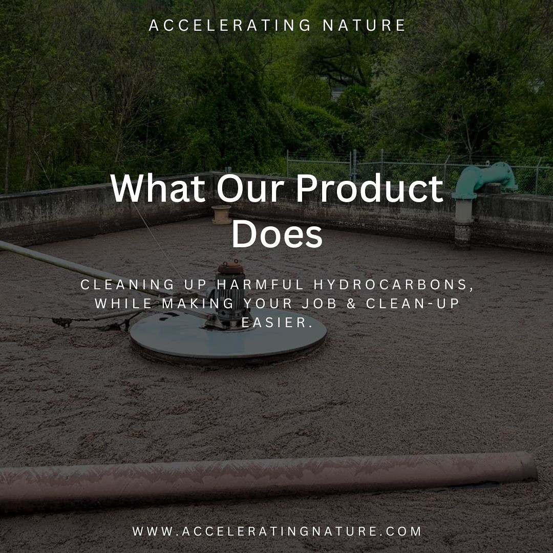 Accelerating Nature