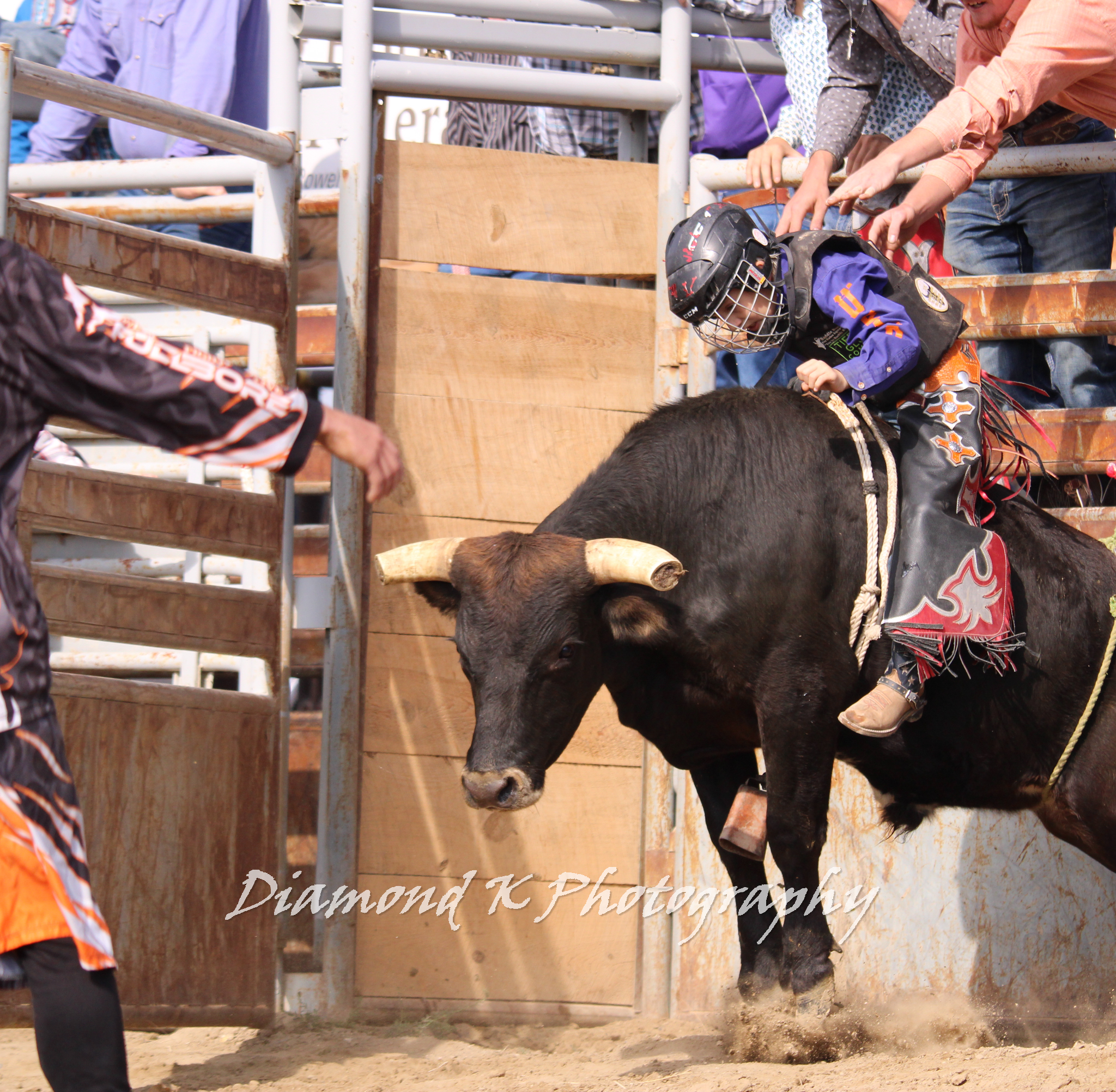 Diamond K Photography | Buffalo WY