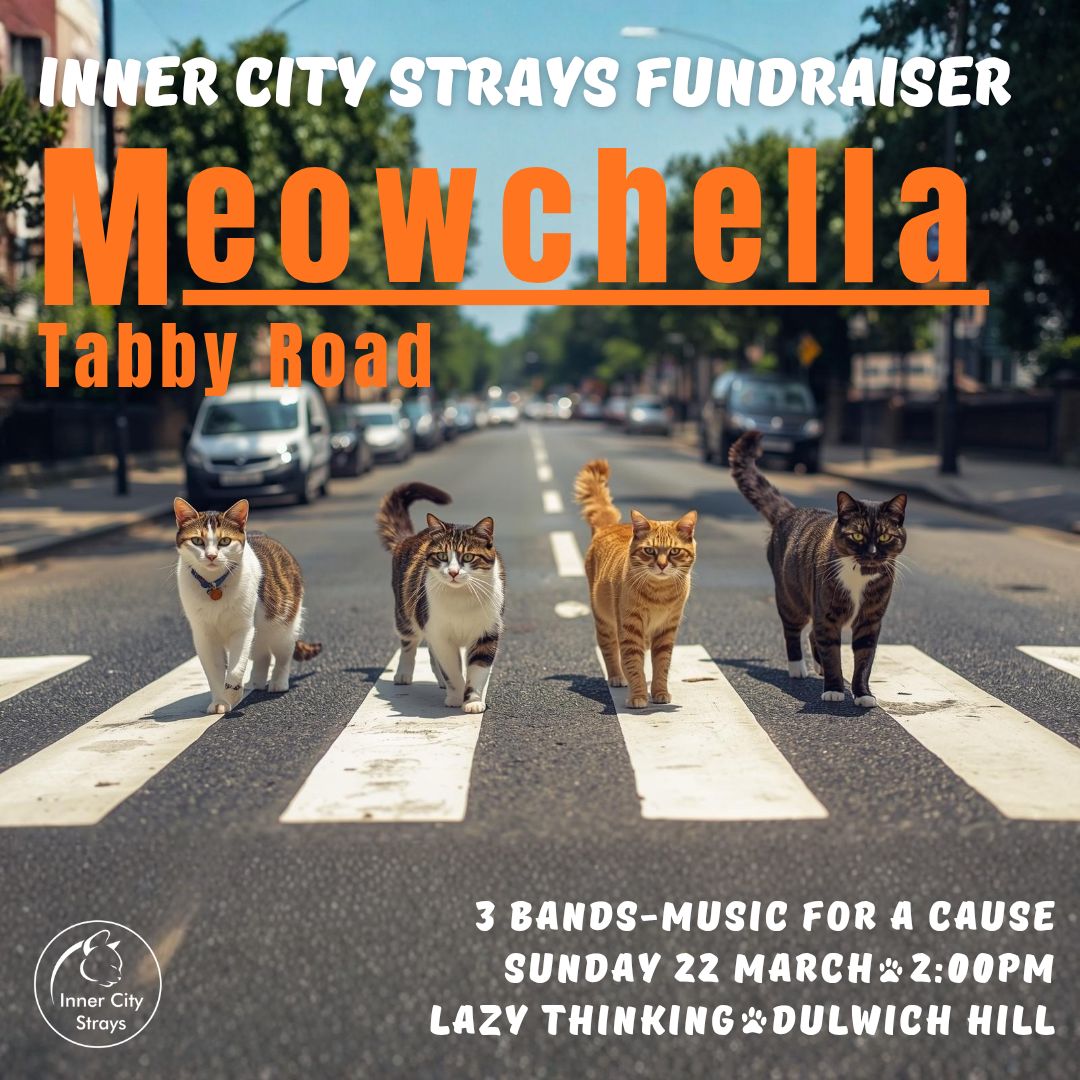 Meowchella - Fundraiser for Inner City Strays