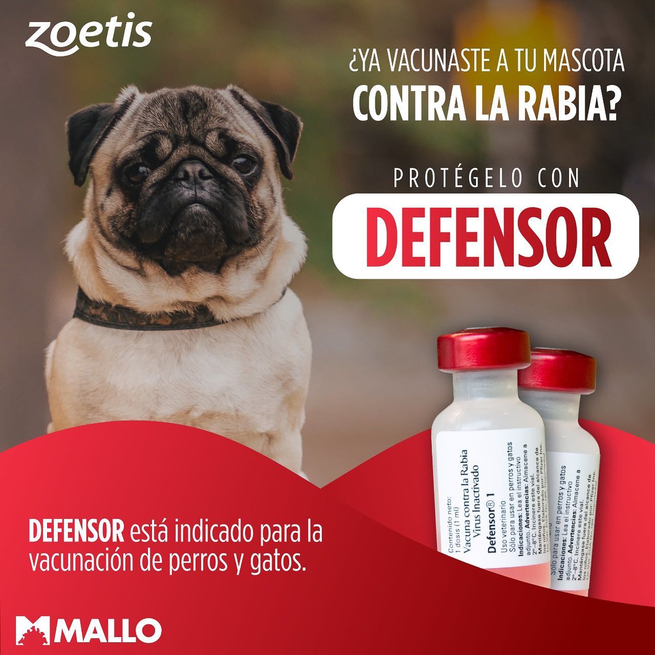 GRUPO MALLO - ¿Tu peludito 🐾🐶 🐱esta al día con su vacuna... | Facebook