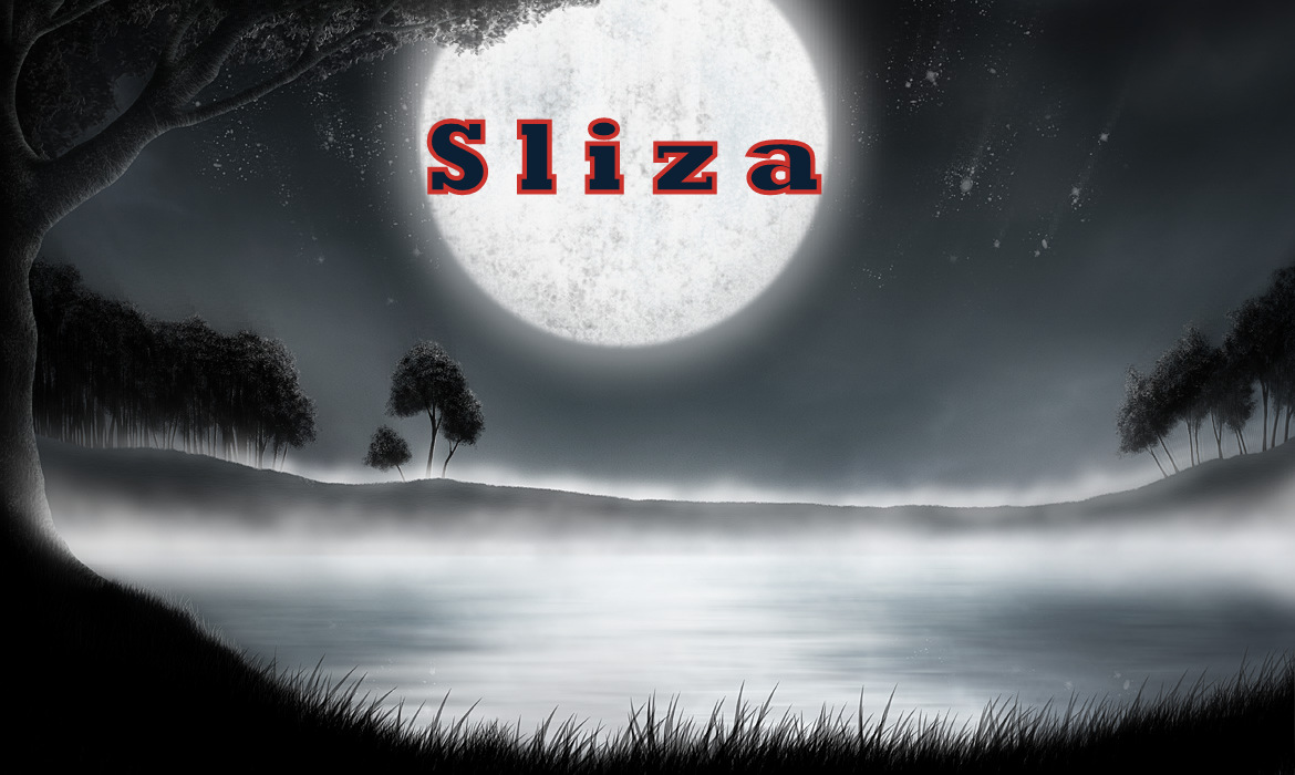 Sliza