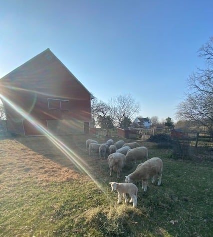 Irish Ridge Farm B&E