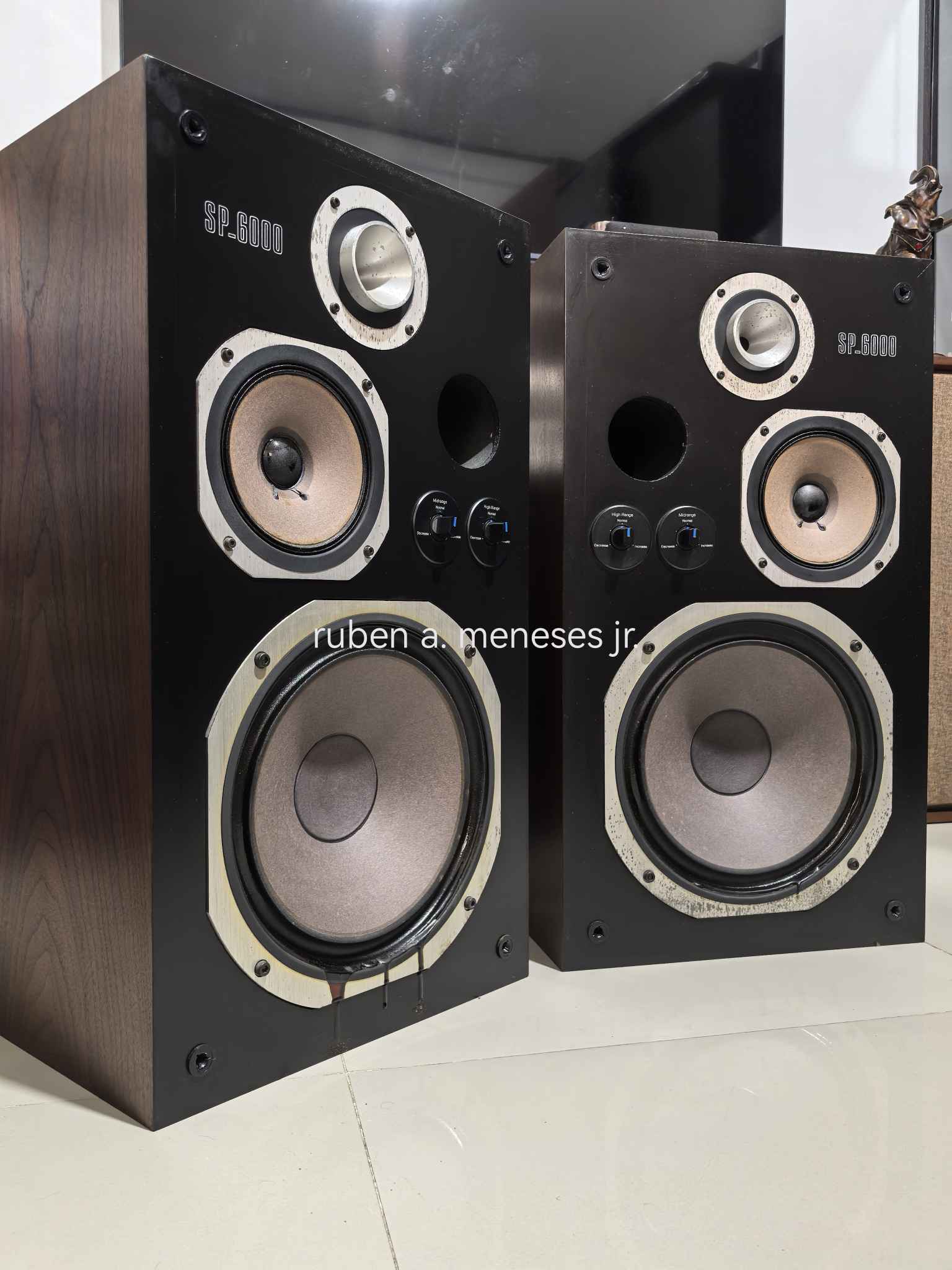 SANSUI SP-6000 Vinatage speaker This is one of Sansui's best