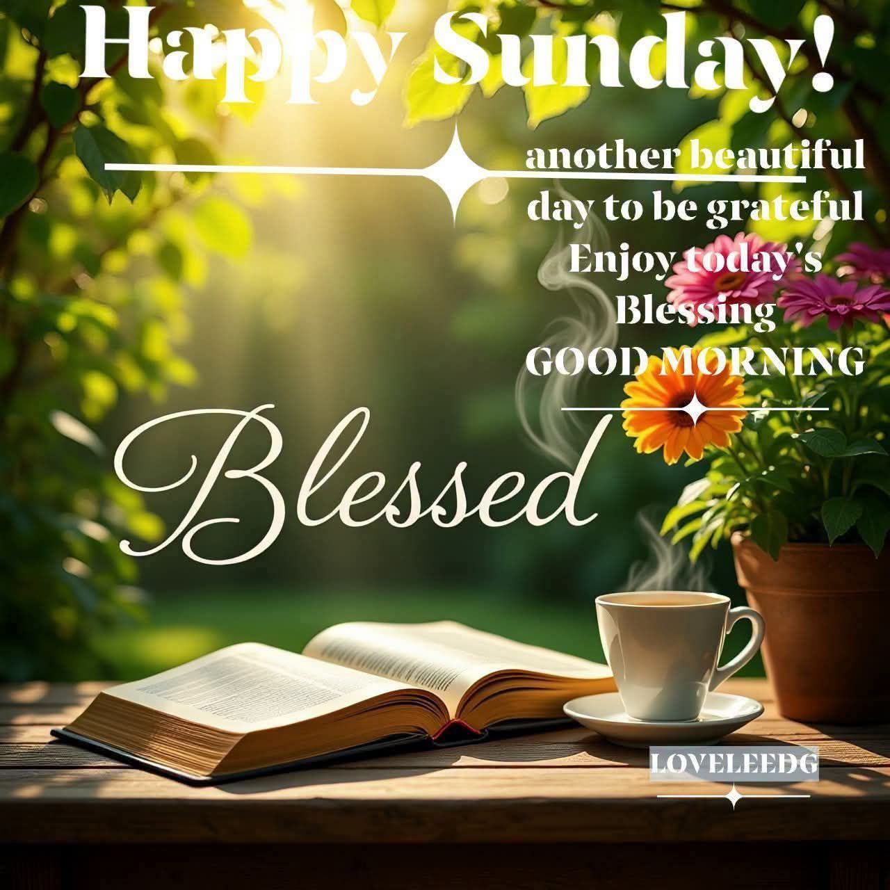 Good morning! Have a great day! 😀😀😀😀😀